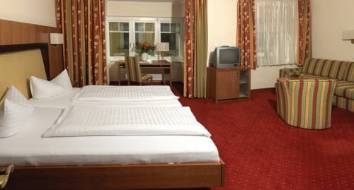 Imagen general del Hotel Goldener Loewe. Foto 14