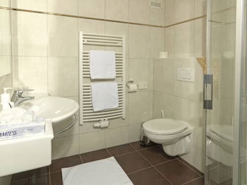 Imagen general del Hotel Goldener Loewe. Foto 15