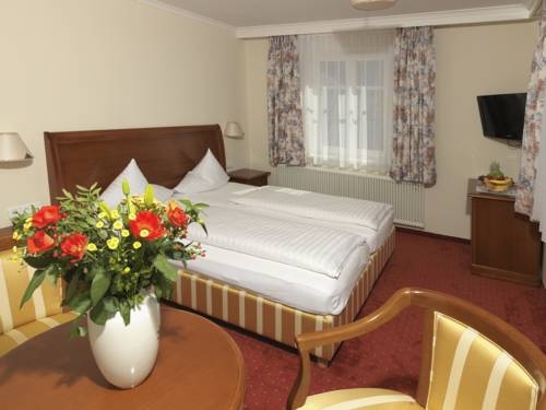 Imagen general del Hotel Goldener Loewe. Foto 17