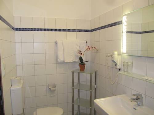 Imagen general del Hotel Goldener Ochs. Foto 1