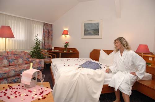 Imagen de la habitación del Hotel Goldgrund Meissen. Foto 3