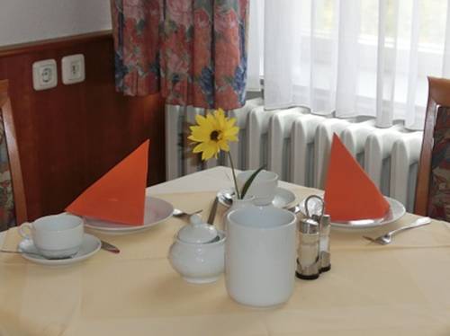 Imagen de la habitación del Hotel Goldgrund Meissen. Foto 10