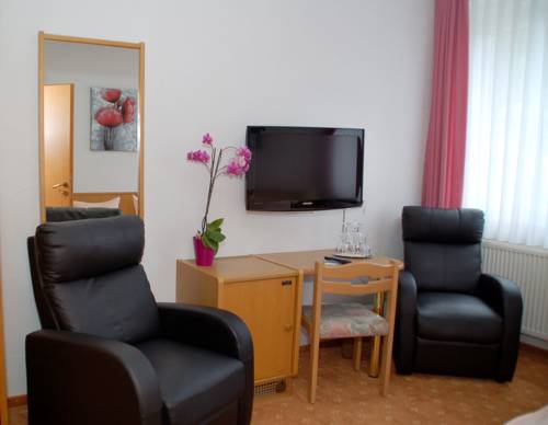 Imagen de la habitación del Hotel Goldner Anker. Foto 10