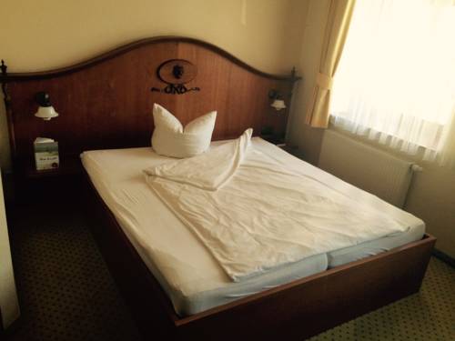 Imagen de la habitación del Hotel Goldner Loewe. Foto 2
