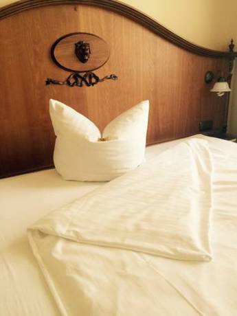 Imagen de la habitación del Hotel Goldner Loewe. Foto 3