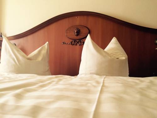 Imagen de la habitación del Hotel Goldner Loewe. Foto 13