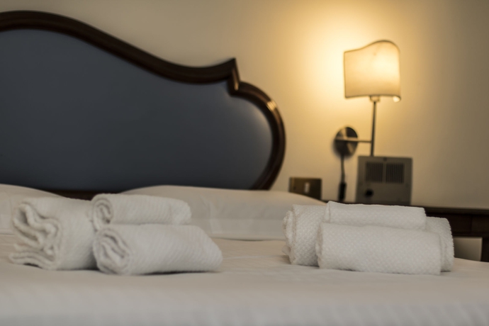 Imagen de la habitación del Hotel Goldoni. Foto 9