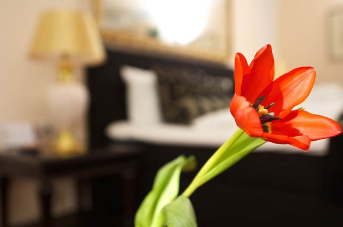 Imagen de la habitación del Hotel Golf And Alpin Wellness Resort Hotel Ludwig Royal. Foto 16