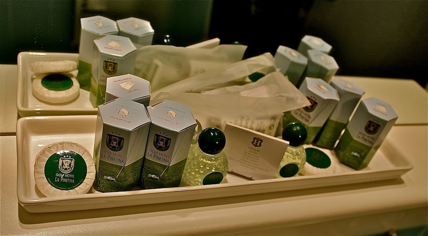 Imagen de la habitación del Hotel Golf La Pinetina. Foto 13