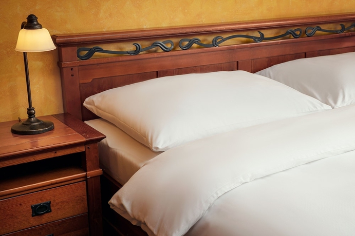 Imagen de la habitación del Hotel Golf and Spa Resort Kunětická Hora. Foto 3