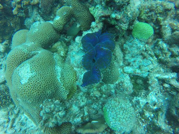 Imagen de los interiores del Hotel Golhaa View Inn By TES. Foto 16