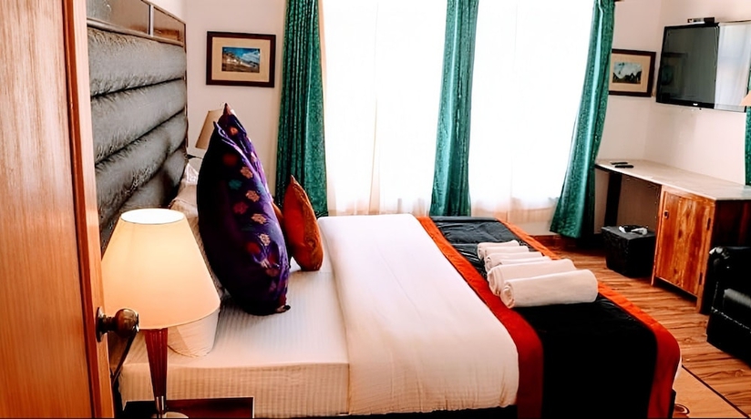 Imagen de la habitación del Hotel Gomang-boutique Ladakh. Foto 9