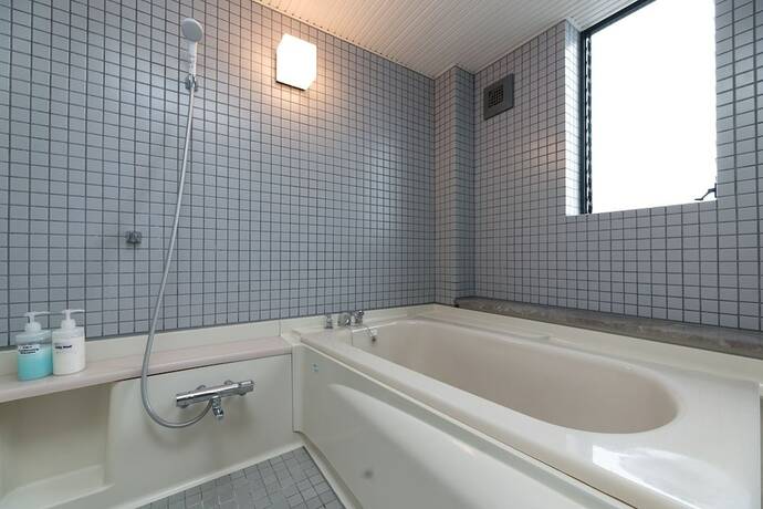 Imagen general del Hotel Good Morning House. Foto 6