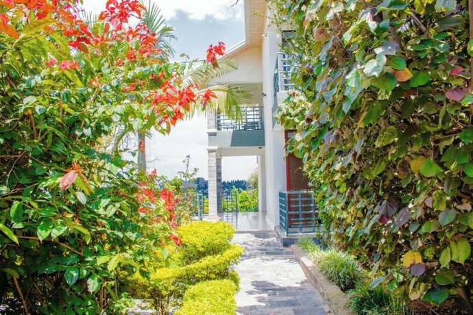 Imagen general del Hotel Good News Guesthouse. Foto 1