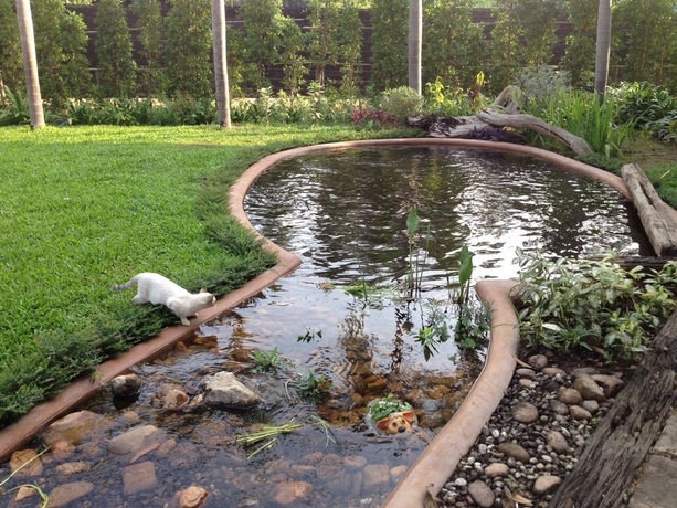 Imagen de los exteriores del Hotel Good Times Resort. Foto 6