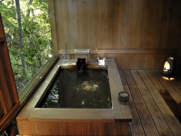 Imagen de la habitación del Hotel Gora Hanaougi. Foto 8