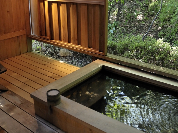 Imagen de la habitación del Hotel Gora Hanaougi. Foto 10