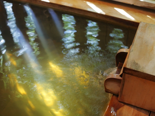 Imagen de la habitación del Hotel Gora Hanaougi. Foto 11