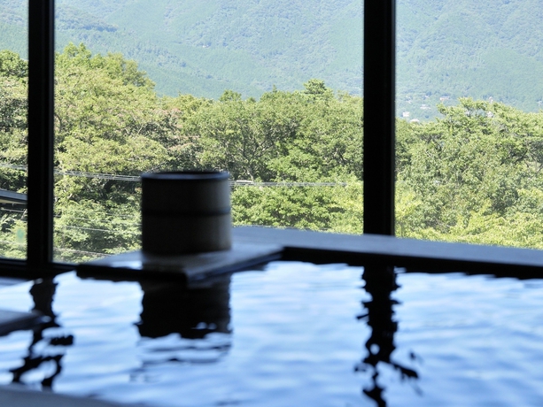 Imagen de la habitación del Hotel Gora Hanaougi. Foto 13