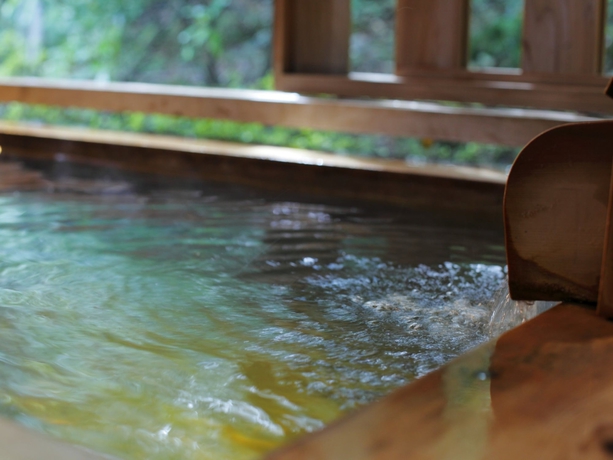 Imagen de la habitación del Hotel Gora Hanaougi. Foto 14