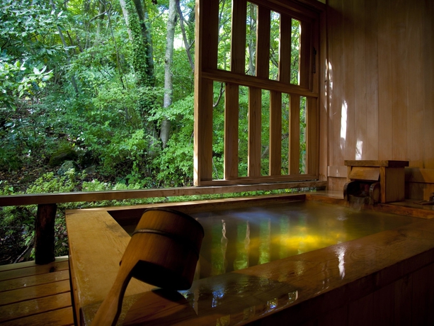 Imagen de la habitación del Hotel Gora Hanaougi. Foto 15