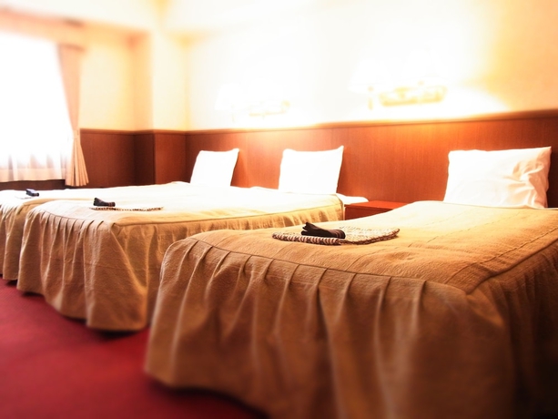 Imagen de la habitación del Hotel Gora Paipu No Kemuri. Foto 11