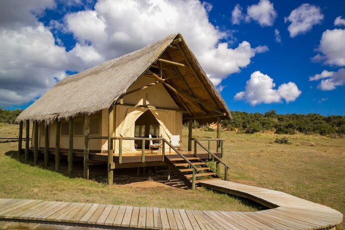 Imagen general del Hotel Gorah Elephant Camp. Foto 5