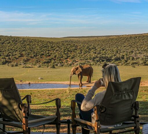 Imagen general del Hotel Gorah Elephant Camp. Foto 10