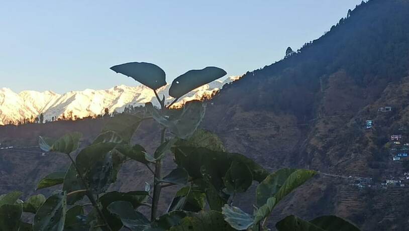 Imagen general del Hotel Goroomgo Green Valley Homestay Chopta. Foto 3