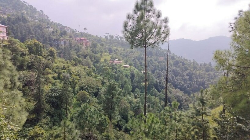 Imagen general del Hotel Goroomgo Sukh Dham Homestay Shimla. Foto 5