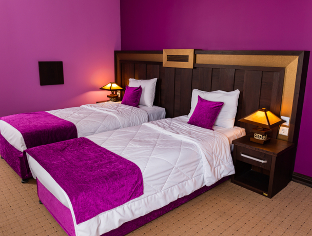 Imagen de la habitación del Hotel Gostaresh. Foto 5