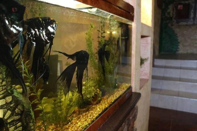 Imagen de los interiores del Hotel Gostiny Dvor - Hostel. Foto 18