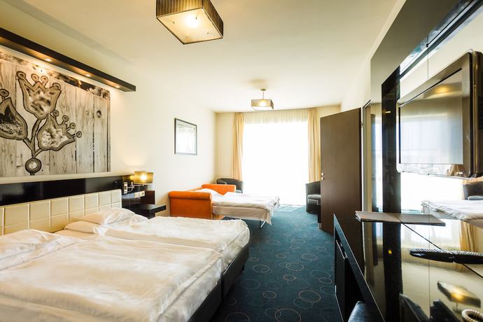 Imagen de la habitación del Hotel Gotthard Therme And Conference. Foto 13