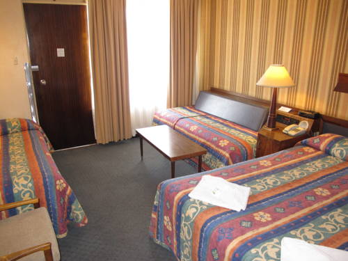 Imagen de la habitación del Hotel Goulburn Central Motel. Foto 2