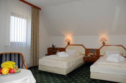 Imagen de la habitación del Hotel G&ouml;ller, Hirschaid. Foto 5