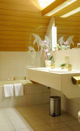 Imagen de la habitación del Hotel G&ouml;ller, Hirschaid. Foto 7