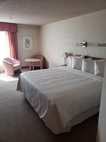 Imagen de la habitación del Hotel Gouverneur Ile Charron. Foto 7