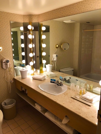 Imagen de la habitación del Hotel Gouverneur Ile Charron. Foto 15