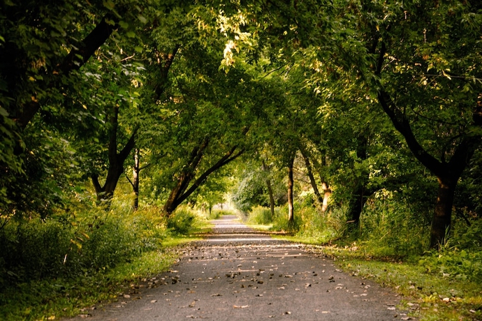 Imagen general del Hotel Gouverneur Ile Charron. Foto 5