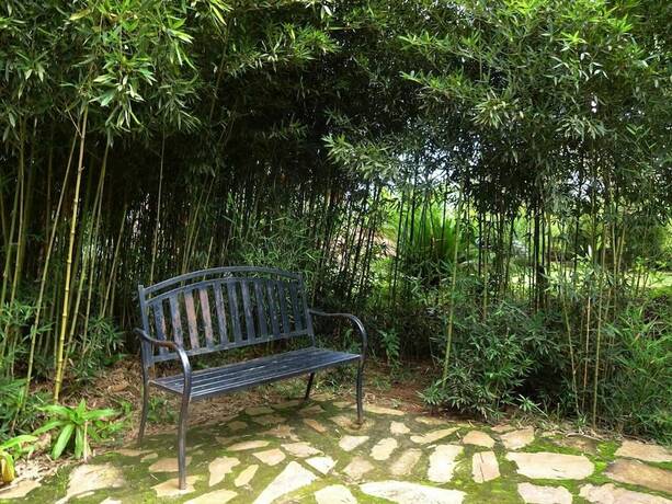 Imagen general del Hotel Governors Club, Entebbe City. Foto 13