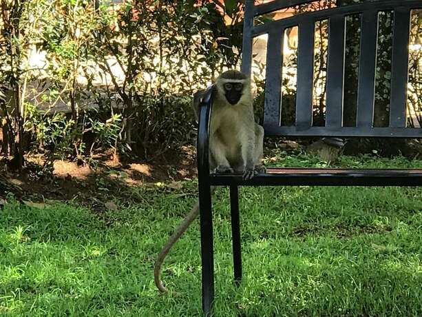 Imagen general del Hotel Governors Club. Foto 20