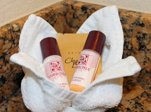 Imagen de la habitación del Hotel Governors Inn. Foto 12