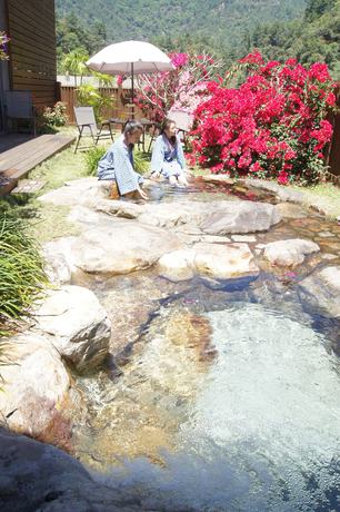 Imagen de la habitación del Hotel Goya Spring Resort. Foto 6