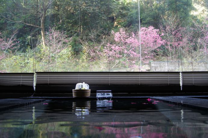 Imagen de la habitación del Hotel Goya Spring Resort. Foto 11