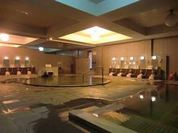Imagen de la piscina del Hotel Gozensui. Foto 11