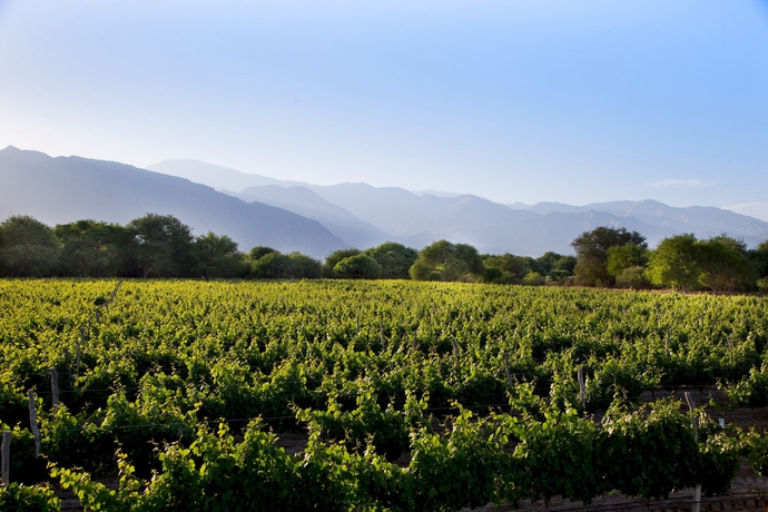 Imagen general del Hotel Grace Cafayate. Foto 3