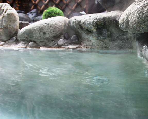 Imagen de la piscina del Hotel Grace Hakuba. Foto 17