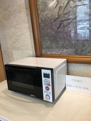 Imagen de los interiores del Hotel Grace Inn Nagoya. Foto 14