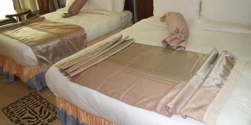Imagen de la habitación del Hotel Graceland. Foto 3