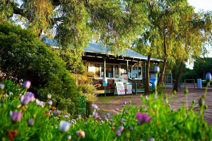 Imagen general del Hotel Gracetown Caravan Park. Foto 8